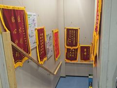 -瑞鹏宠物医院·爱宠堂·骨外专科(西荷分院)