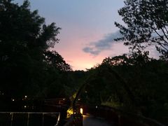 -清迈夜间动物园