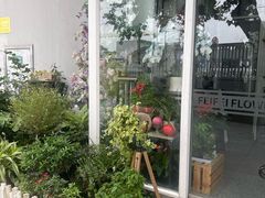 -FEI FEI FLOWER鲜花店·气球派对·宝宝宴布置(虹口德必运动Loft店)
