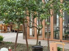 -柠檬花院烤肉·会议团建·聚会·求婚(三圣乡店)