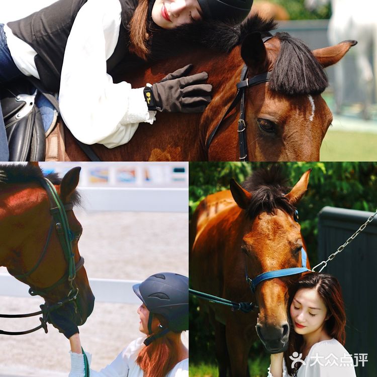 崇明十二时辰🌟在金茂体验🐎背上的快意｜魔都周边旅游攻略📝