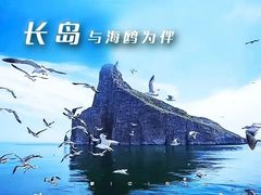 -长岛南北长山旅游景区