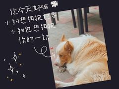 -豆舞咖啡(民乐路店)