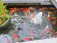 -阳春市花园酒店