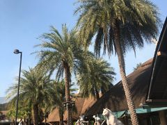 -清迈夜间动物园