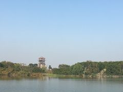 -大湾区中央湿地公园