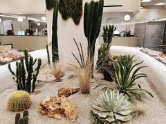 -OUR Bakery(SKP-S店)