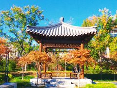 -莲花池公园