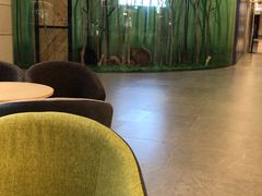 -昆明大悦城未来动物城(螺蛳湾中心店)