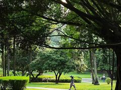 -荔香公园