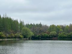 -东平国家森林公园