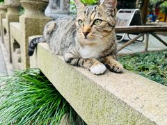 -龙华寺