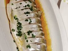 -松沪名灶·豆浆鱼头·新上海菜(江川路交大店)