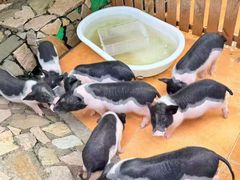 -HERRE·FARM 赫尔露营农场·团建聚会包场