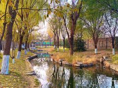 -春风习习