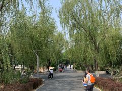 -大兴滨河森林公园