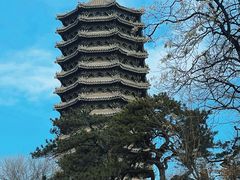 -博雅塔
