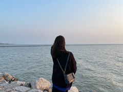 -合肥滨湖国家森林公园