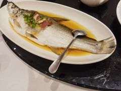 -上海1号私藏菜(黄浦店)