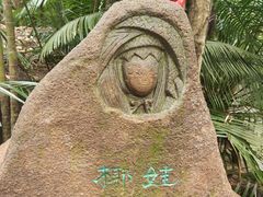 -呀诺达热带雨林