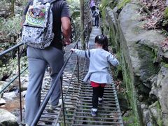 -藏龙百瀑风景区