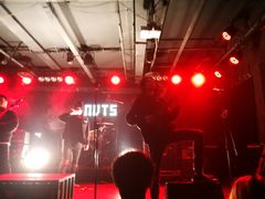 -坚果NUTS