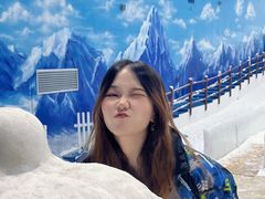 -世界之窗阿尔卑斯冰雪世界