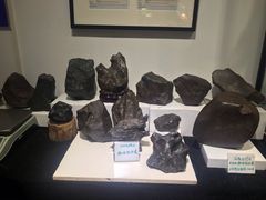 -志强陨石馆(双季花艺店)