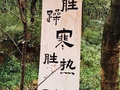 -句容茅山景区