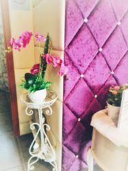 -薇兰专业脱毛连锁机构