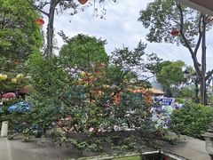 -国色天乡三期陆地乐园