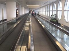 -厦门高崎国际机场-T3航站楼