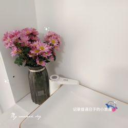 -CAMENAE嘉媚乐