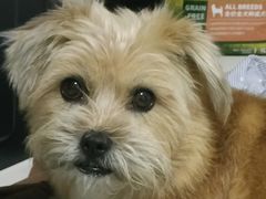 -青年公社烤鸭(蜀山万象汇店)
