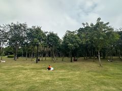 -深圳人才公园