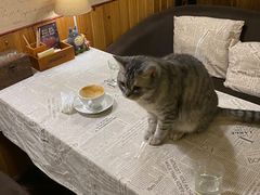 -隅cafe(傅厚岗店)