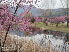 -石塘人家