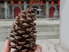 -九鲤湖风景区