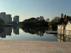 -新江湾城公园