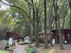 -同里国家湿地公园