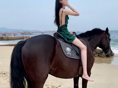 -玫瑰海岸文化旅游度假区