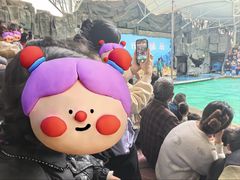 -合肥野生动物园