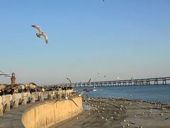 -星海广场