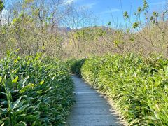-嵖岈山风景区