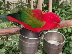 -南宫五洲植物乐园