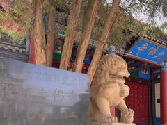 -张掖大佛寺景区