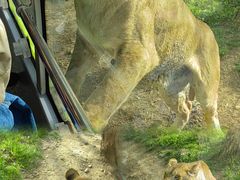 -西安秦岭野生动物园