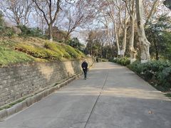 -菊花台公园