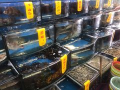 -渔中舟海鲜大排档(普陀沈家门店)