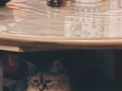 -老地方面馆(思南路店)